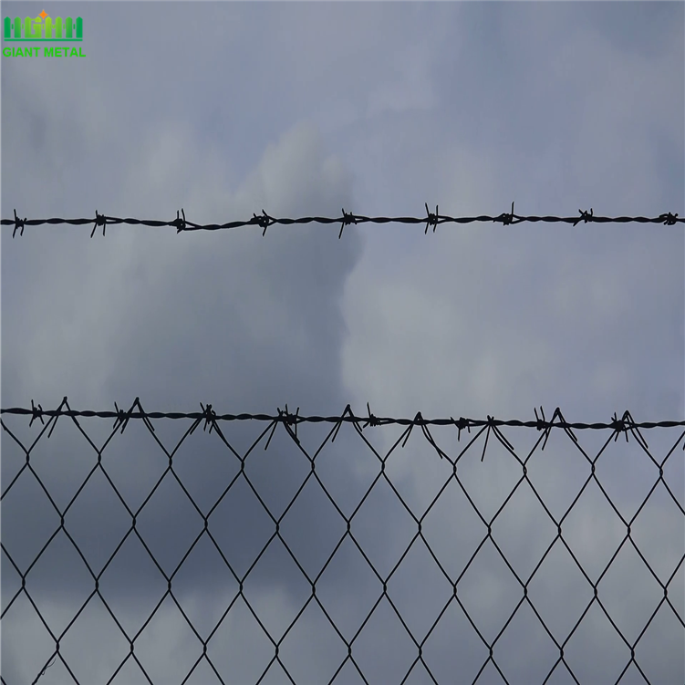 Quality Prison Barbed Wire Fence