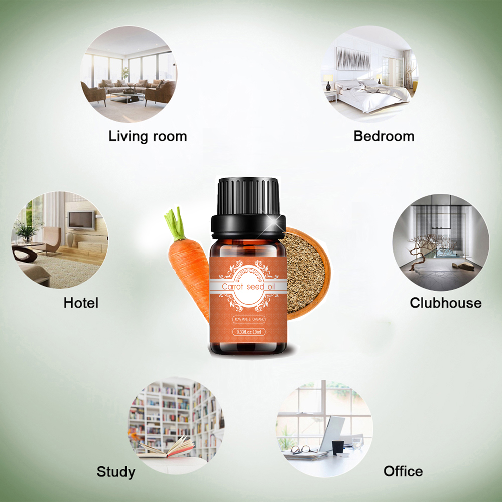Aceite de semilla de zanahoria natural puro para el cuidado de la piel