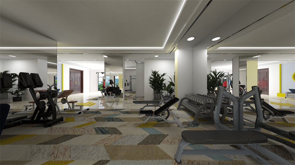 commercial gym design (2)