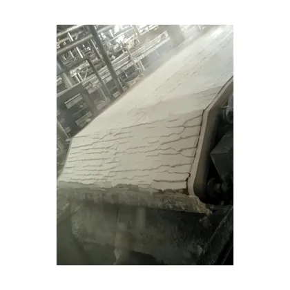 Customizable Rubber Belt Vacuum Filter Press with Easy Replacement Horizontal Filters