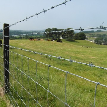Factory Direct hochwertige Stacheldrehbewegungen &amp; verzinkter Zaun