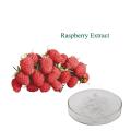 Lose Weight Raspberry Extract Raspberry Ketone 98% Powder