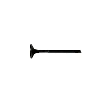 STZT 271 053 05 01 Auto Part Engine Intake Valve for Mercedes Benz W204, W203, W211 OE 2710530501