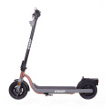 Pinakabagong disenyo 350W Electric Scooter 10 Inch