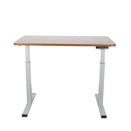 Ergonomic Dual Motor Sit Stand Adjustable Desk