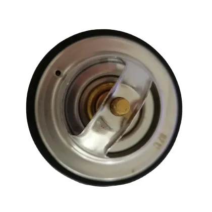 Mercedes Benz Coolant Thermostat 0022037675
