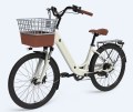 Individuelles Elektrofahrrad 24 Zoll