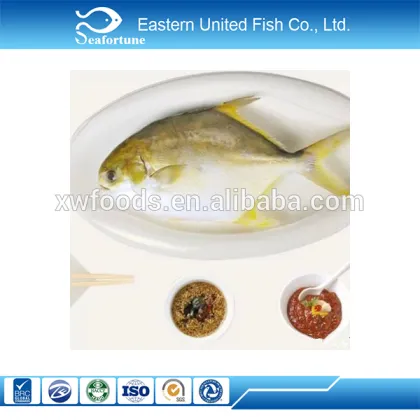 china seafood golden pompano fish