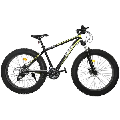 Wholesale High Quality Cheap Snow Bike Fork and Fat Tire Bicycles