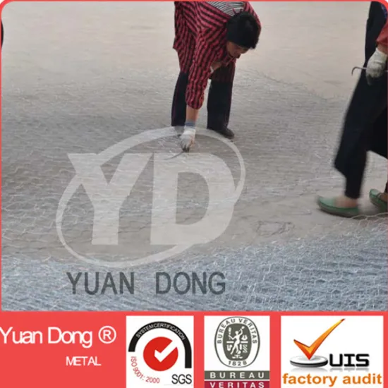 Low price pvc coated gabion box (factory)