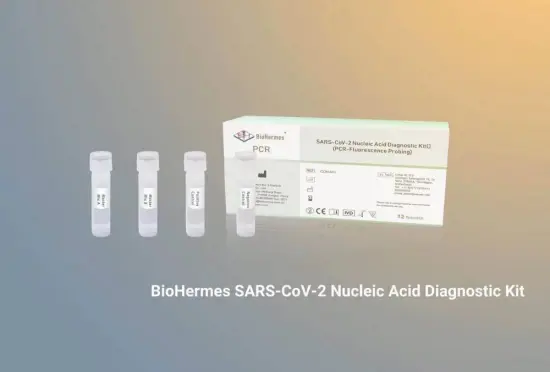Covid 19 Molecular PCR Test