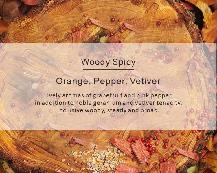 Scent Diffuser Use Essential Oil