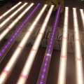 LED de planta de cáñamo UV IR Grow Light
