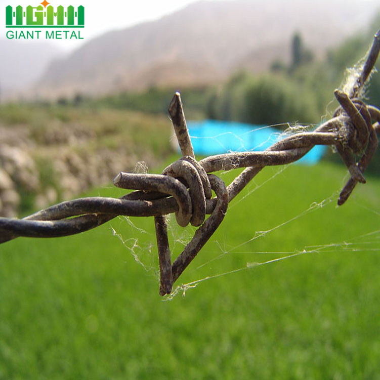 All Useful Galvanized Anti Climb Barbed Fence