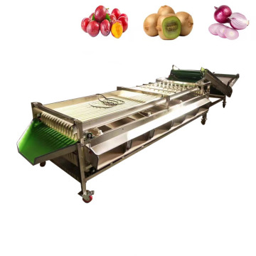 Automatic Fruit and Vegetable Size Sorting Grading Machine