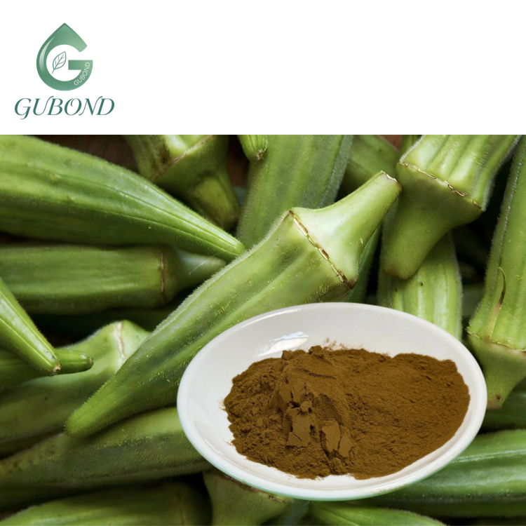 Okra Extract