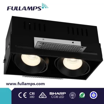 Fullamps double head 2*10W COB LED Recessed office Grille Light with Led 200mA LED Driver dongguan lighting