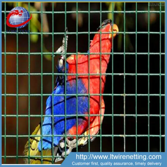 1x1 small bird cage wire mesh / pvc coated welded iron wire mesh for cages