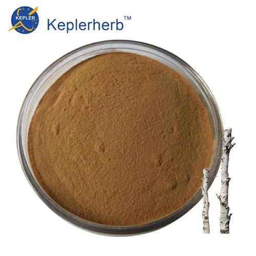 High quality Birch leaves extract powder