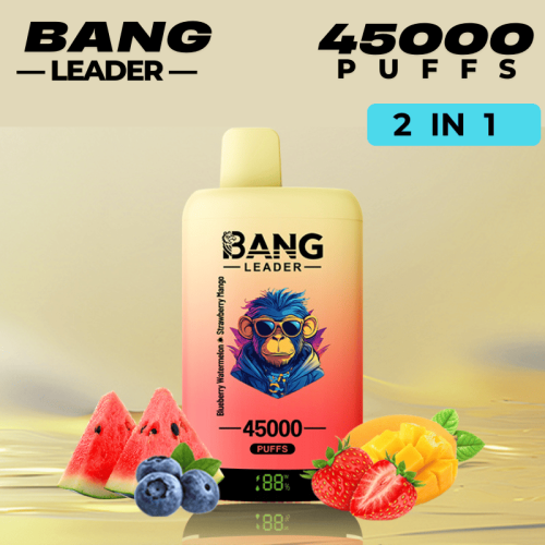 Best Disposable Pod Brands Bang Vape Leader 45k Puff