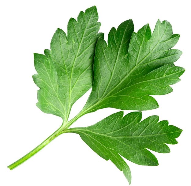parsley powder (1)