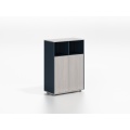 Dious Oem Custom New Design Office Filing Cabinet Storage