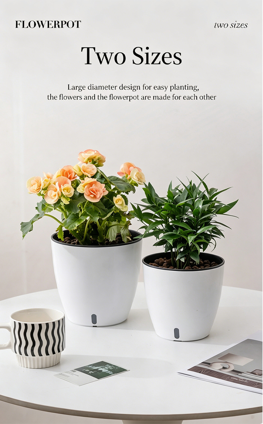 Visible Potted Plant 7