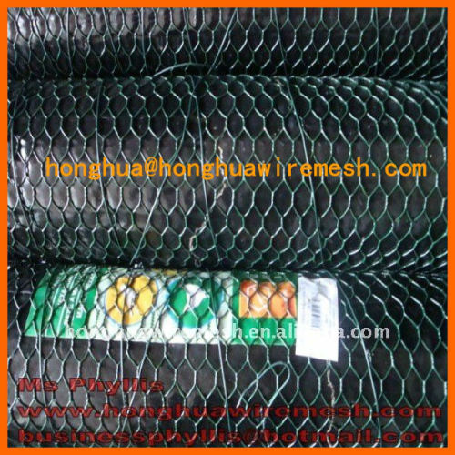 hot dipped galvanized chicken wire mesh