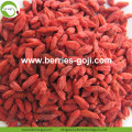 Factory Supply Nutrition Gedroogd Lycium Fruit