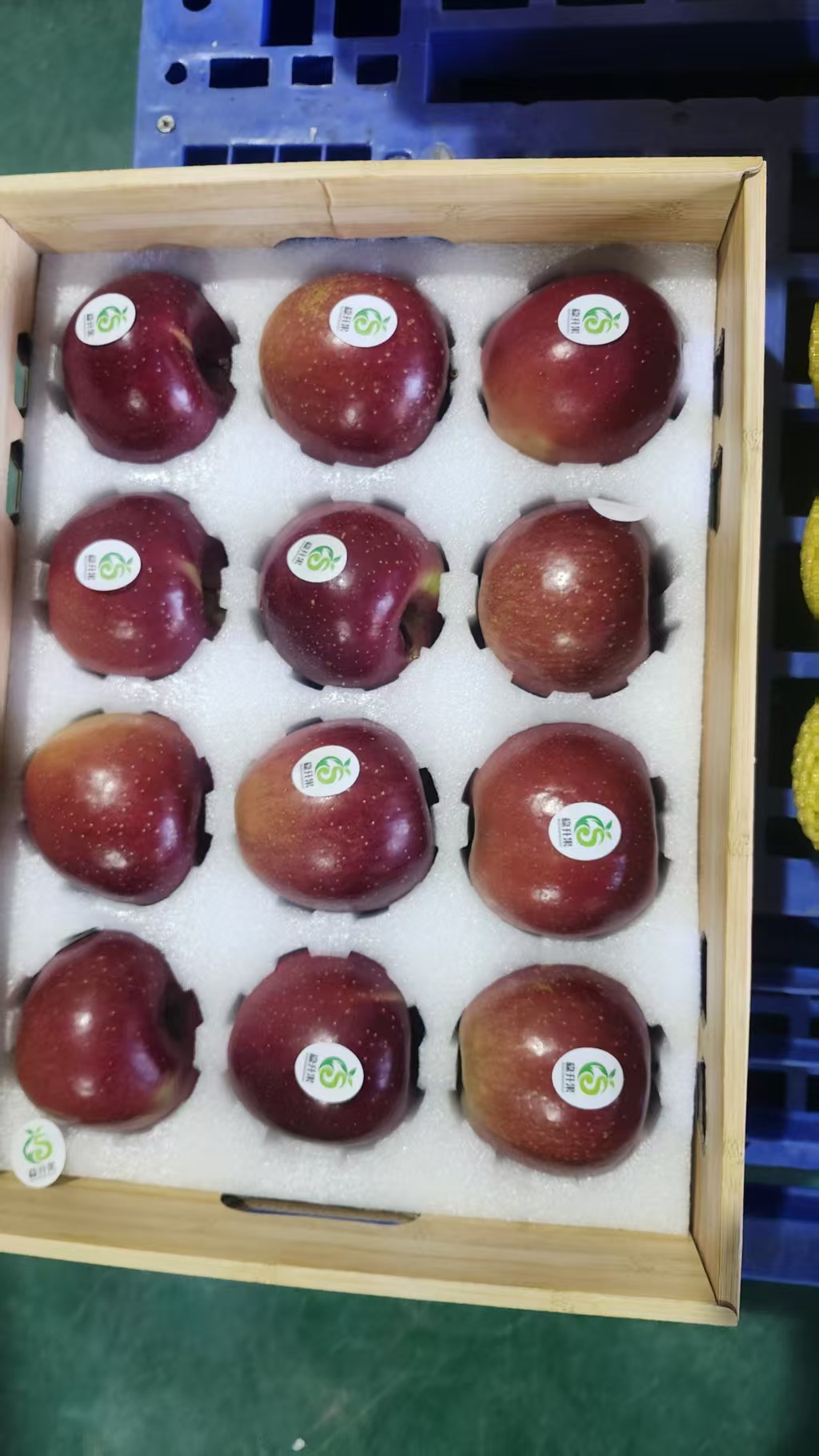 Zhaotong Apples from Ludian County