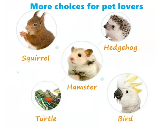 Dried Mealworms