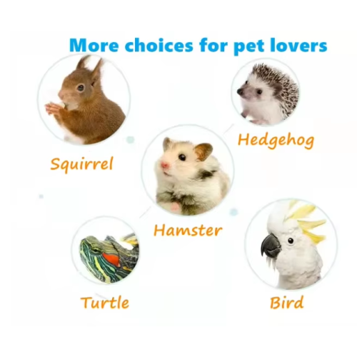 Organic Dried Mealworm Superior Quality High Protein Pet Treats Dried mealworm Supplier