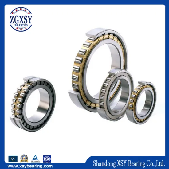 New Cylindrical Roller Bearing Nu1005m 25*47*12mm