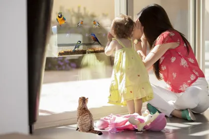 Acrylic Large window Bird Feeder with power Suction Cups and drain crystal bird feeder