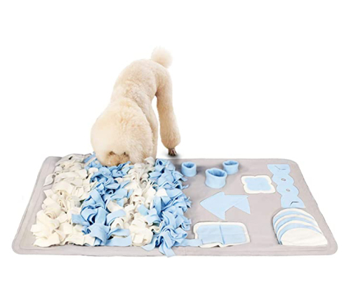 Chó mũi làm chăn cho chó cho ăn bệ đào tạo thảm
