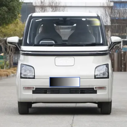 China's New Energy Vehicle: Right-Steering Electric Car by New Energy Vehicles