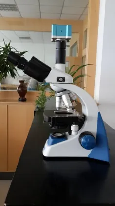 Biological Microscope for Research Use Organism Microscope