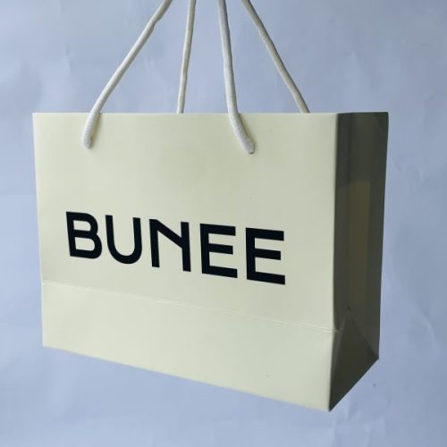 Shopping Paper Bags with Custom Logo and Ribbon