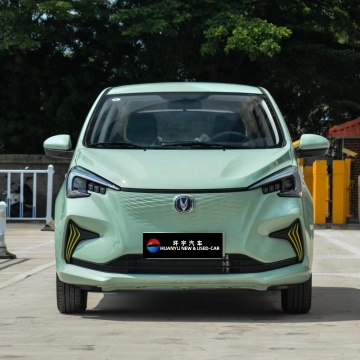 2023 Changan Electric Car Mini SUV Benben E-Star Niedriggeschwindigkeitsfahrzeug
