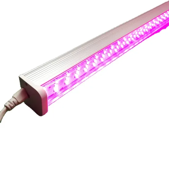 YOUWIN LM301H Evo Mars: Fast-Growing LED Plant Light for Efficient Indoor Cultivation