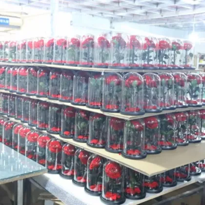 Factory Direct: 2024 Hot Selling Eternal Rose Preserved Flower in Glass Dome