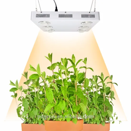 Top Quality CD BIN 3500K Full Spectrum 600 Watt Grow Light COB LED Grow Lighting cxb3590
