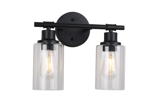 Fashionable Black 2-light Glass Indoor Vanity Light