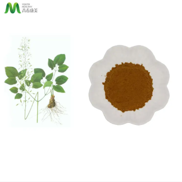 Man Health Raw Material Epimedium Extract Powder