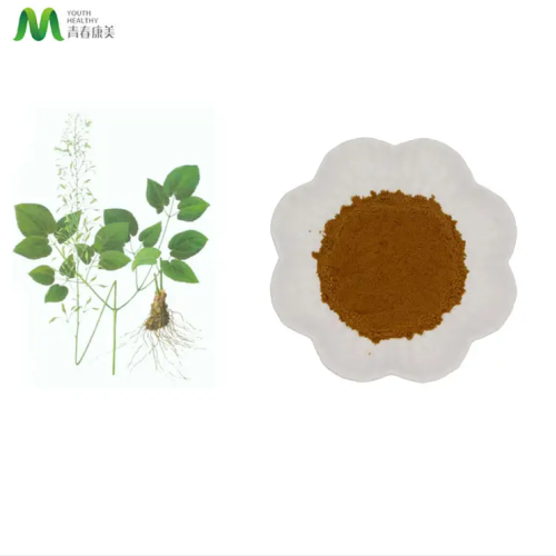 Hombre Health Materia prima Epimedium Extracto en polvo