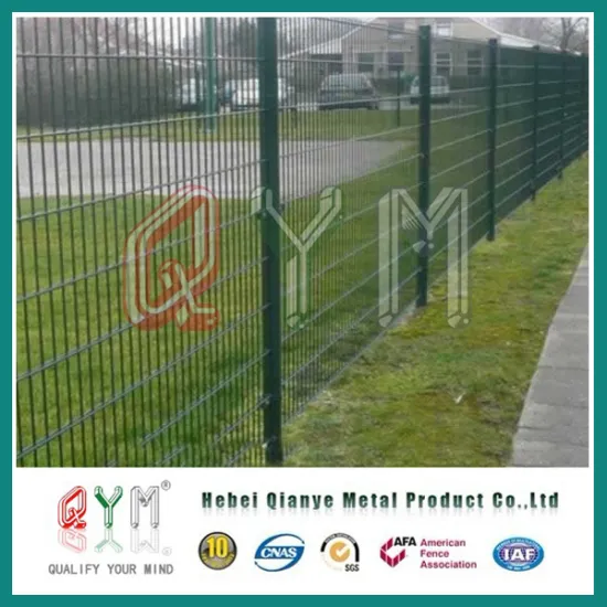 High Quality 8/6/8mm &6/5/6mm Galvanized Double Wire Fence