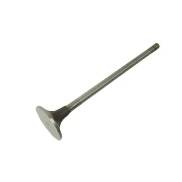 Diesel engine intake valve for ISX engine spare parts 3680760 4059216 4059326 4965868