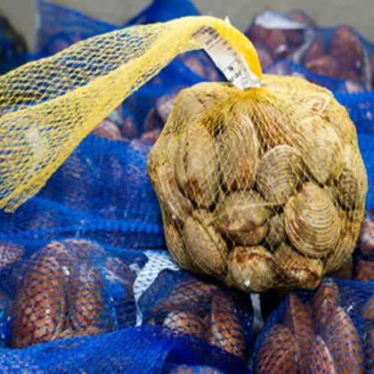Fresh Mussel Net