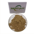 Premium Chuan Chenpi Extract for Natural Wellness