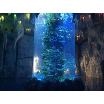 Duży akrylowy cylindrowy akwari w akrylowym akwarium